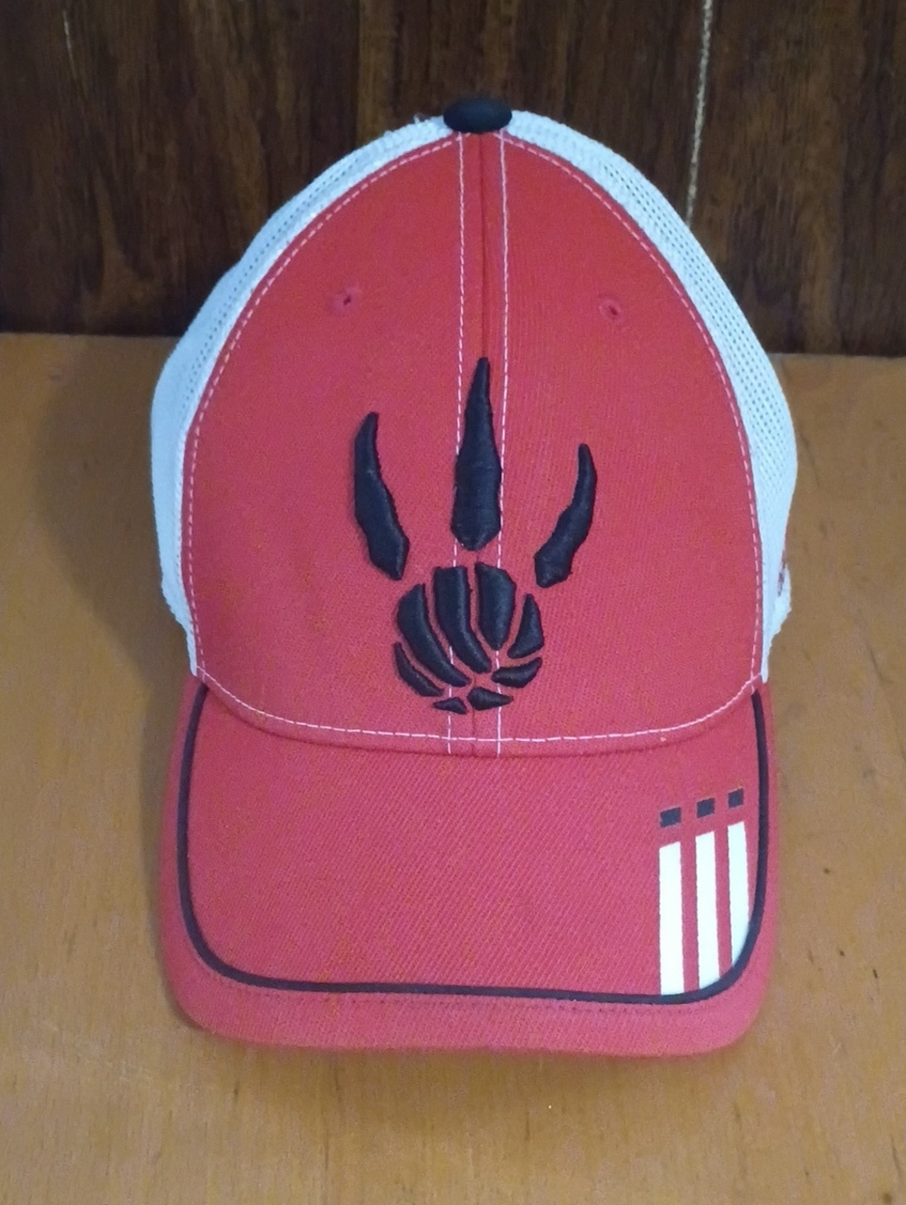 Toronto Raptors hat